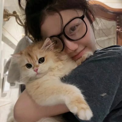 小猫熊历险记